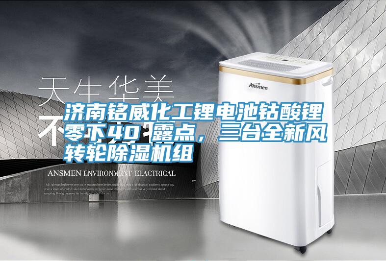 濟(jì)南銘威化工鋰電池鈷酸鋰零下40℃露點(diǎn)，三臺全新風(fēng)轉(zhuǎn)輪除濕機(jī)組