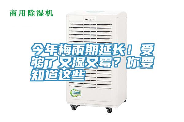 今年梅雨期延長(zhǎng)！受夠了又濕又霉？你要知道這些