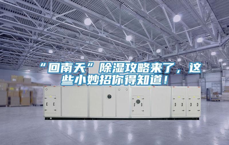 “回南天”除濕攻略來了，這些小妙招你得知道！