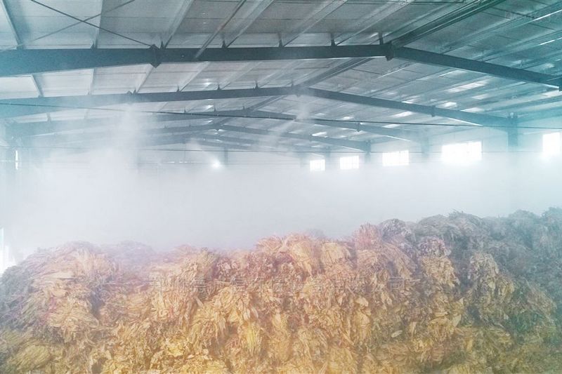 提升煙葉加工質(zhì)量，高效回潮很重要