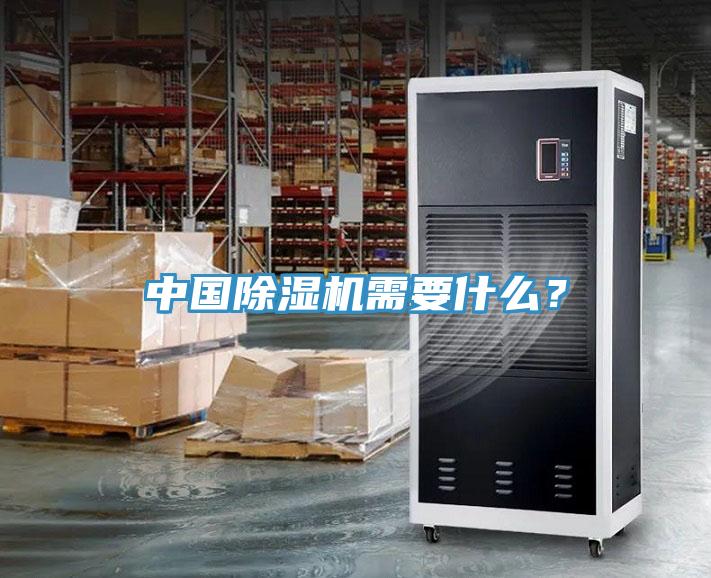 中國除濕機需要什么？