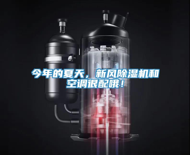 今年的夏天，新風除濕機和空調(diào)很配哦！