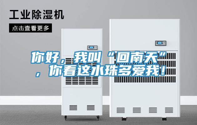 你好，我叫“回南天”，你看這水珠多愛我！