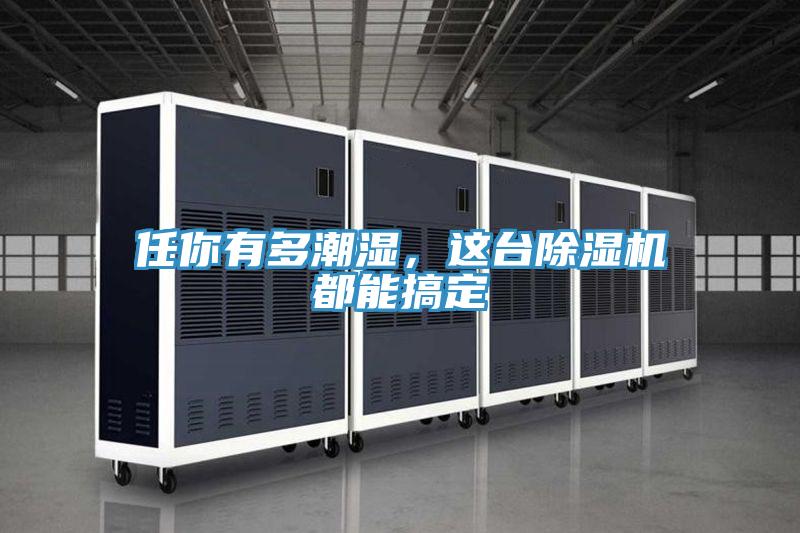 任你有多潮濕，這臺除濕機(jī)都能搞定