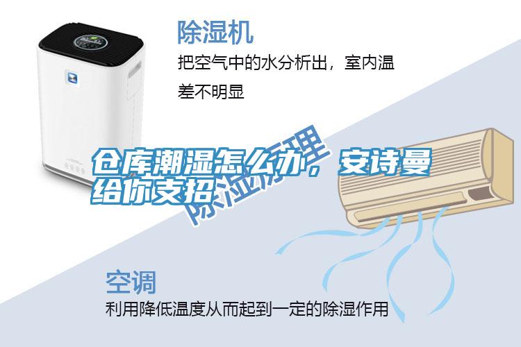 倉庫潮濕怎么辦，安詩曼給你支招