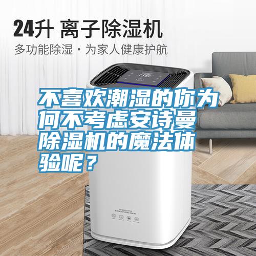 不喜歡潮濕的你為何不考慮安詩曼除濕機的魔法體驗呢？
