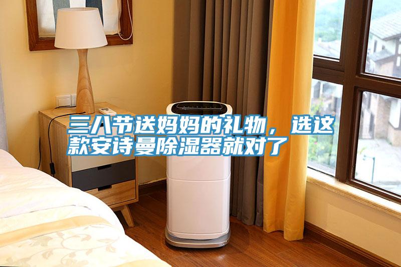 三八節(jié)送媽媽的禮物，選這款安詩曼除濕器就對了