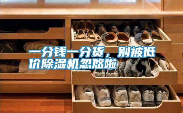 一分錢一分貨，別被低價除濕機(jī)忽悠啦