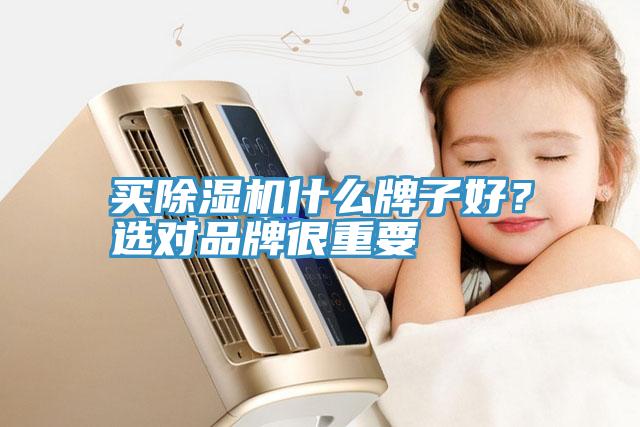買除濕機(jī)什么牌子好？選對(duì)品牌很重要