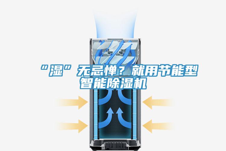 “濕”無忌憚？就用節(jié)能型智能除濕機(jī)