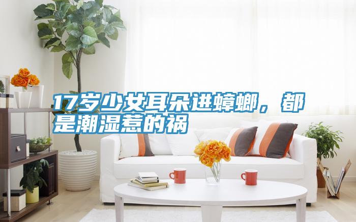 17歲少女耳朵進蟑螂，都是潮濕惹的禍