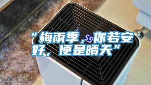 “梅雨季，你若安好，便是晴天”