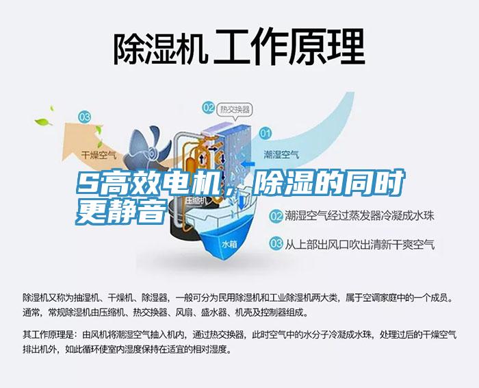 S高效電機(jī)，除濕的同時更靜音