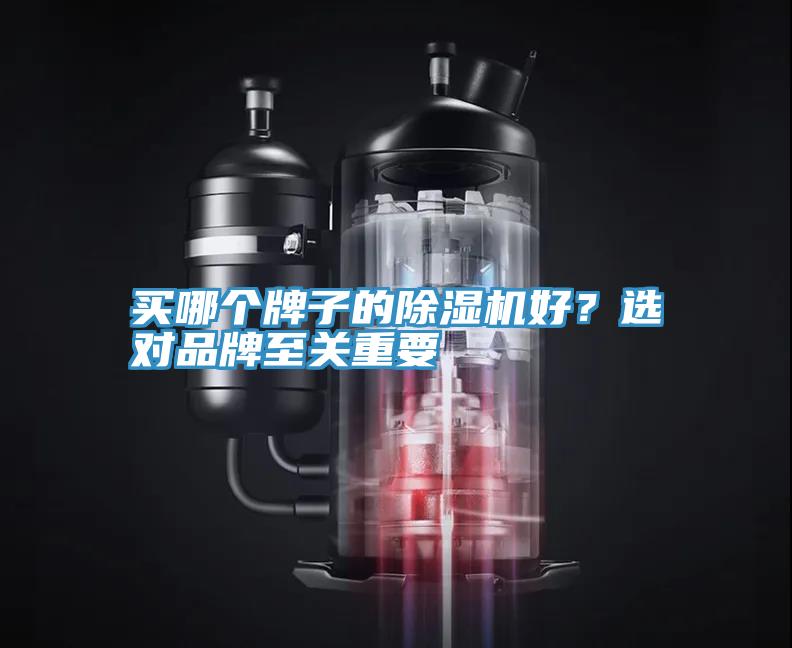 買哪個(gè)牌子的除濕機(jī)好？選對(duì)品牌至關(guān)重要