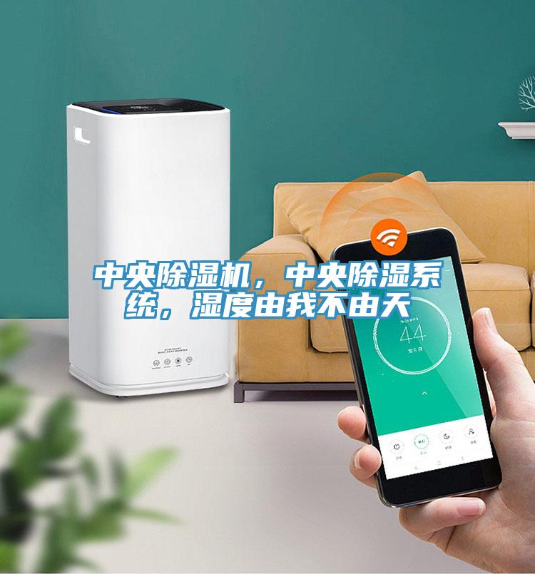 中央除濕機(jī)，中央除濕系統(tǒng)，濕度由我不由天