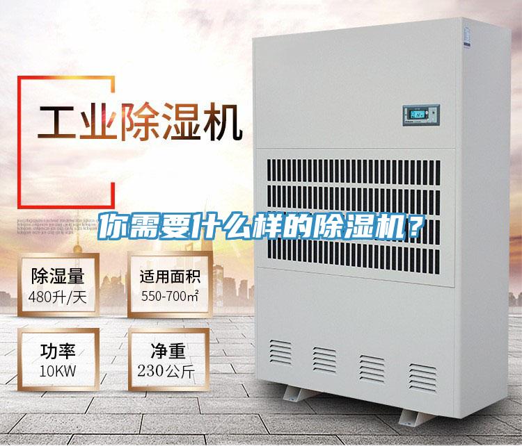 你需要什么樣的除濕機(jī)？