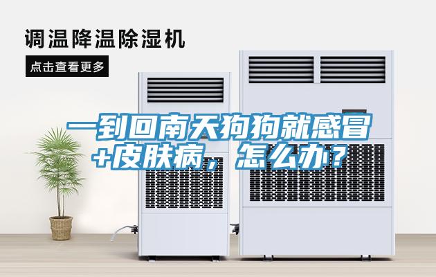 一到回南天狗狗就感冒+皮膚病，怎么辦？