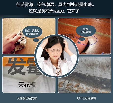 梅雨季，除濕機助你除潮去濕