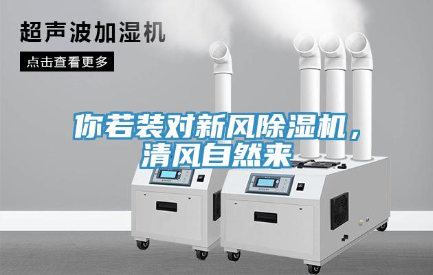 你若裝對(duì)新風(fēng)除濕機(jī)，清風(fēng)自然來