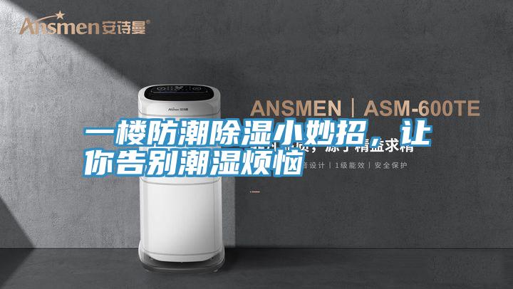 一樓防潮除濕小妙招，讓你告別潮濕煩惱