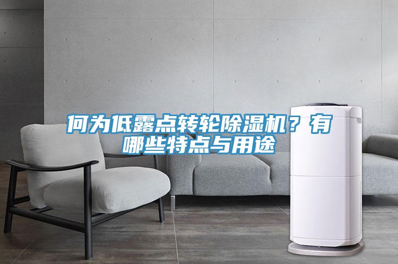何為低露點(diǎn)轉(zhuǎn)輪除濕機(jī)？有哪些特點(diǎn)與用途