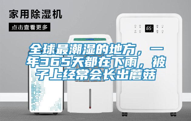 全球最潮濕的地方，一年365天都在下雨，被子上經(jīng)常會(huì)長(zhǎng)出蘑菇