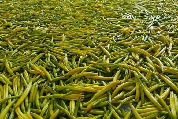 無硫金針菜烘干如何保持品相？不發(fā)黑？_除濕機廠家