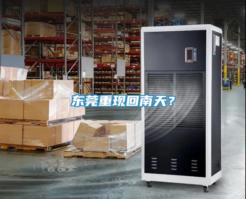 東莞重現(xiàn)回南天?