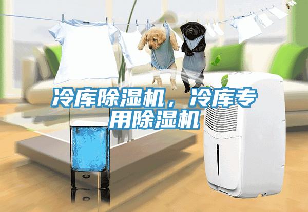 冷庫(kù)除濕機(jī)，冷庫(kù)專用除濕機(jī)