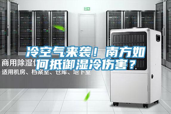 冷空氣來襲！南方如何抵御濕冷傷害？