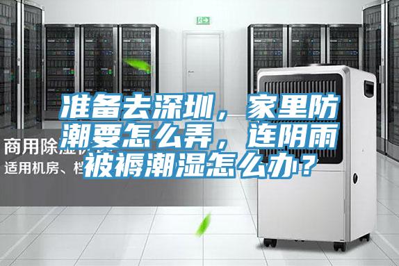 準(zhǔn)備去深圳，家里防潮要怎么弄，連陰雨被褥潮濕怎么辦？