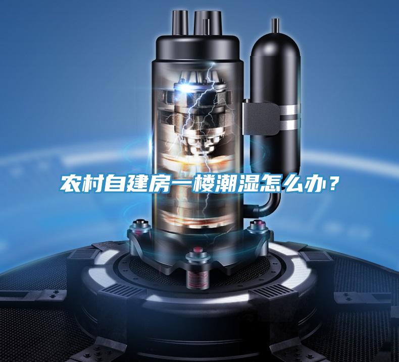 農(nóng)村自建房一樓潮濕怎么辦？