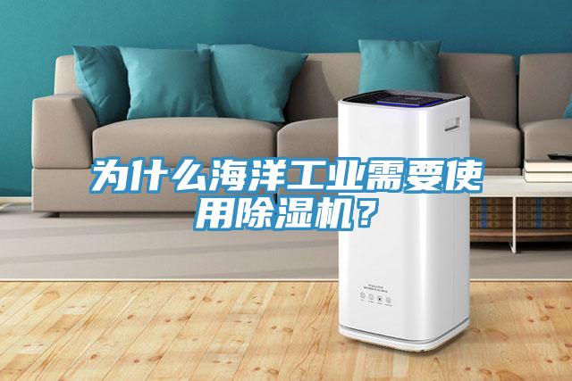 為什么海洋工業(yè)需要使用除濕機(jī)？