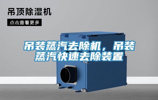 吊裝蒸汽去除機，吊裝蒸汽快速去除裝置