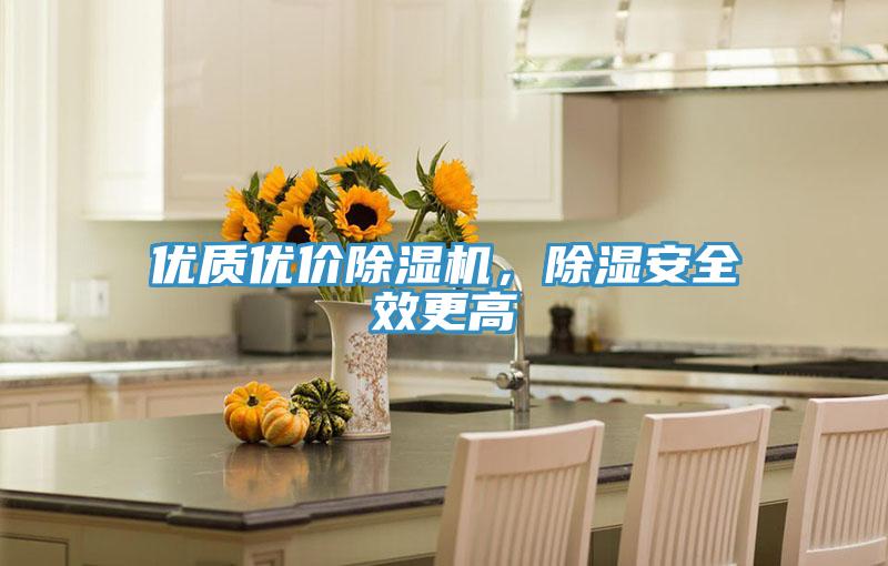 優(yōu)質(zhì)優(yōu)價除濕機，除濕安全效更高