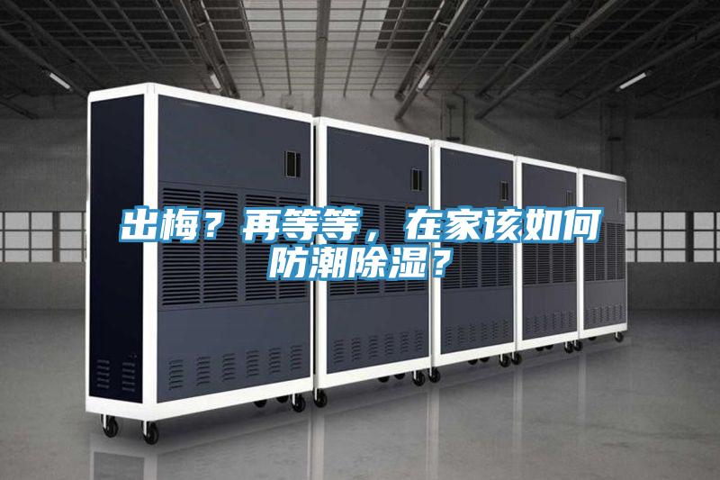 出梅？再等等，在家該如何防潮除濕？
