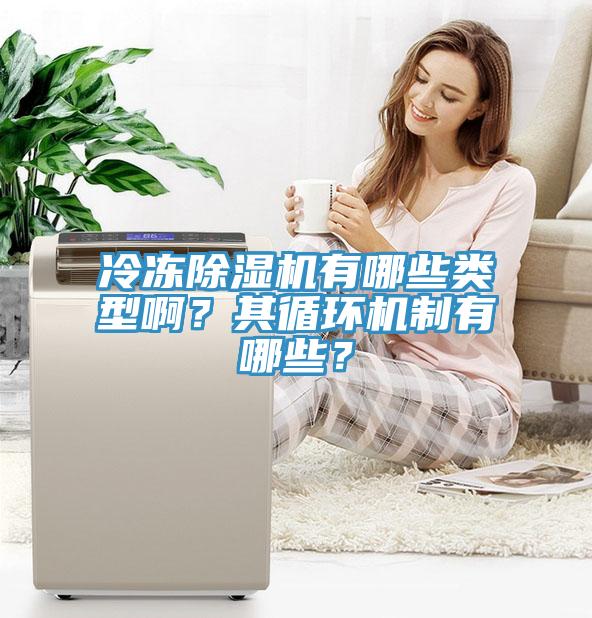 冷凍除濕機(jī)有哪些類型??？其循環(huán)機(jī)制有哪些？