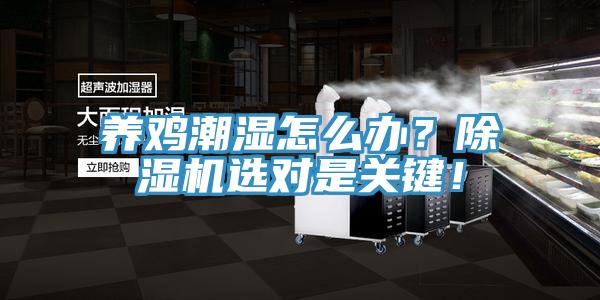 養(yǎng)雞潮濕怎么辦？除濕機選對是關(guān)鍵！