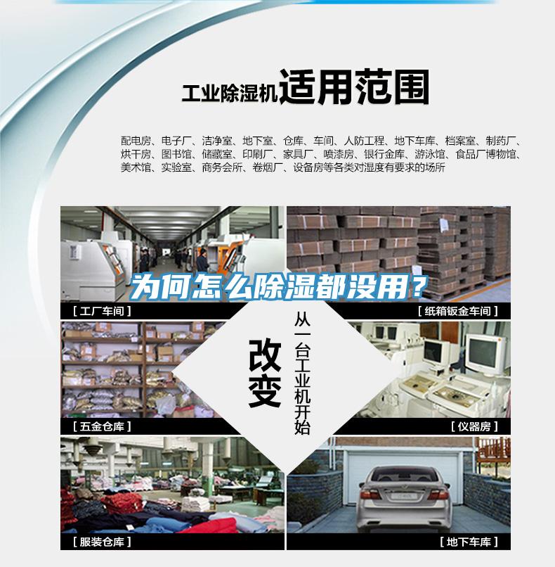為何怎么除濕都沒用？