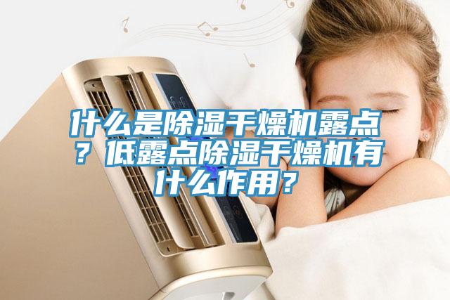 什么是除濕干燥機露點？低露點除濕干燥機有什么作用？