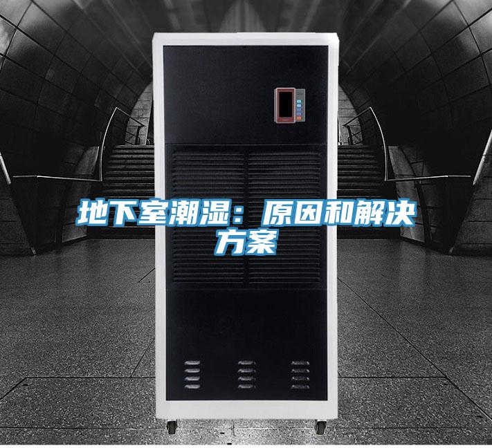 地下室潮濕:原因和解決方案