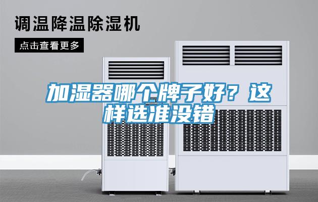 加濕器哪個(gè)牌子好？這樣選準(zhǔn)沒錯(cuò)