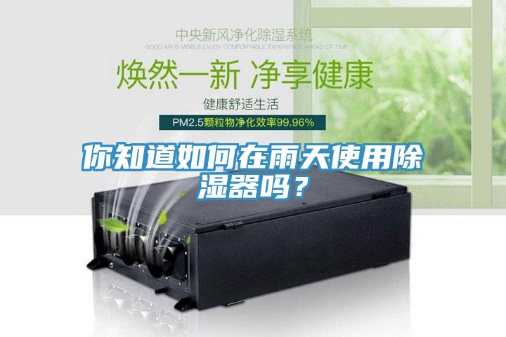 你知道如何在雨天使用除濕器嗎？