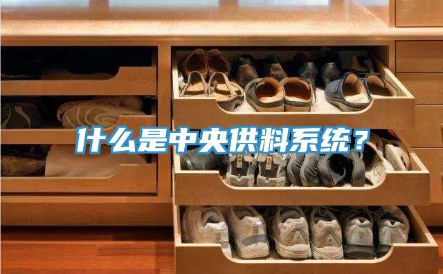 什么是中央供料系統(tǒng)？