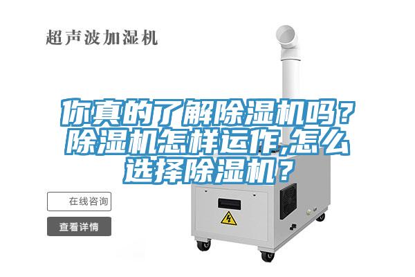 你真的了解除濕機(jī)嗎？除濕機(jī)怎樣運(yùn)作,怎么選擇除濕機(jī)？