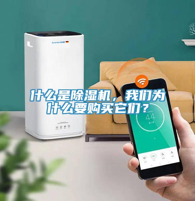 什么是除濕機，我們?yōu)槭裁匆徺I它們？