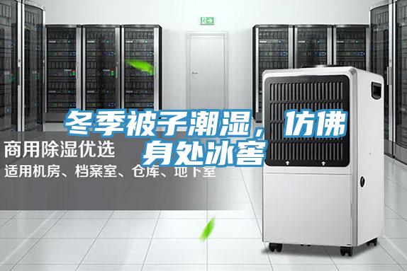 冬季被子潮濕，仿佛身處冰窖