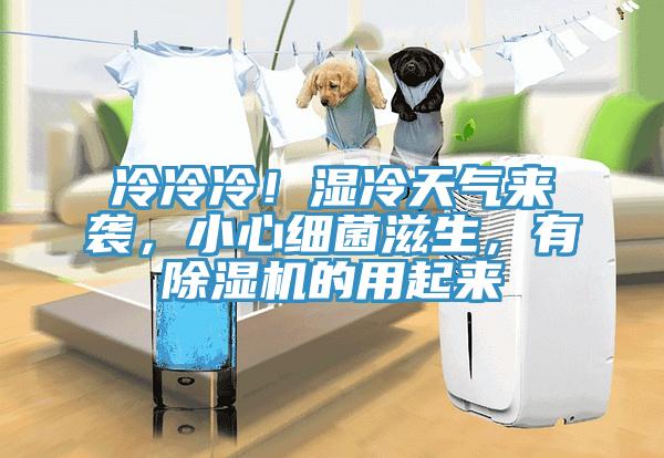冷冷冷！濕冷天氣來襲，小心細(xì)菌滋生，有除濕機(jī)的用起來