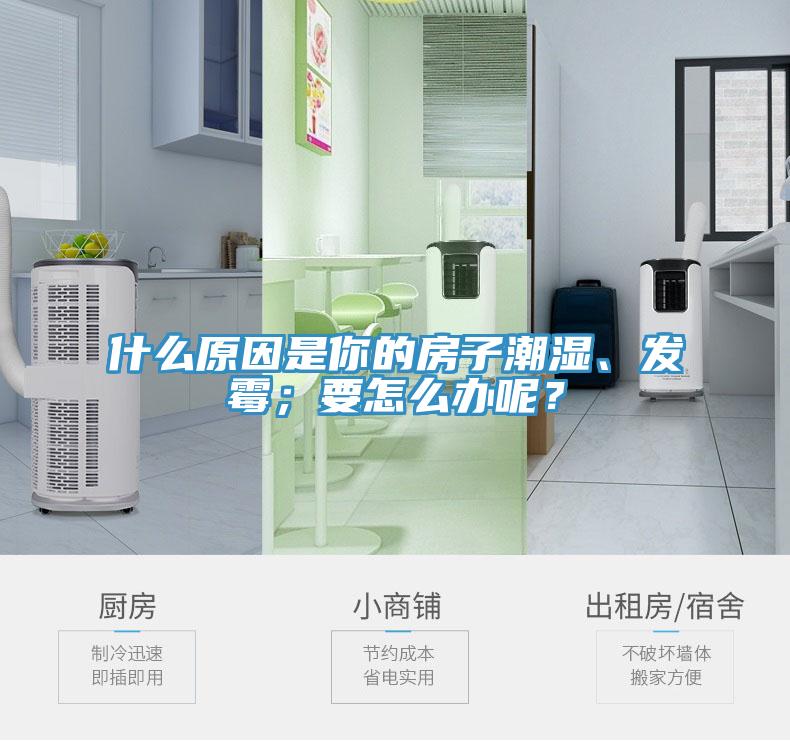什么原因是你的房子潮濕、發(fā)霉；要怎么辦呢？