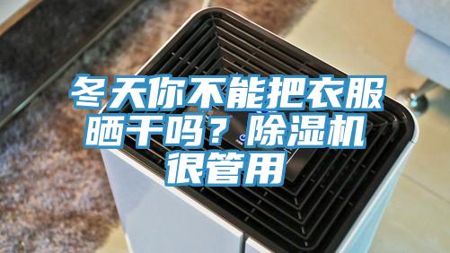 冬天你不能把衣服曬干嗎？除濕機(jī)很管用